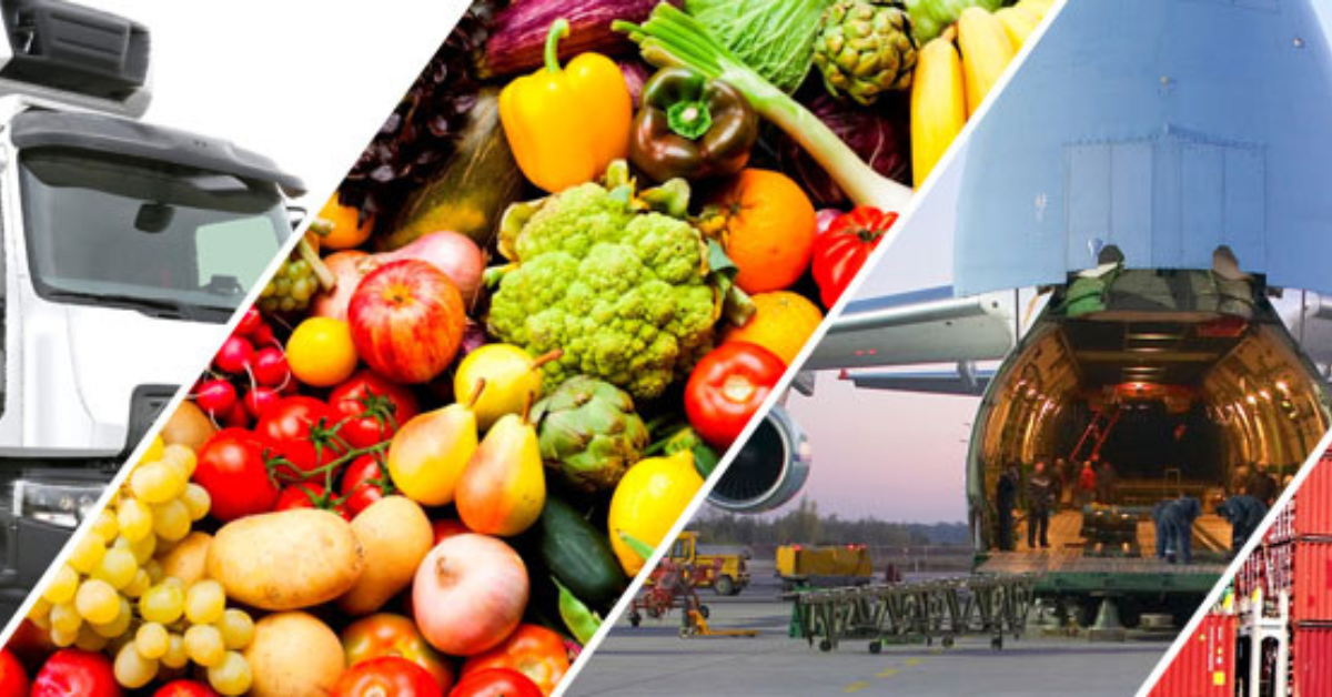 Collage of a cargo truck, colorful fruits and vegetables, and an airplane loading goods at an airport, symbolizing global food transportation.