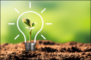 A small plant grows inside a lightbulb drawn on soil, symbolizing innovation and sustainability. The background is a blurred green, conveying growth and freshness.